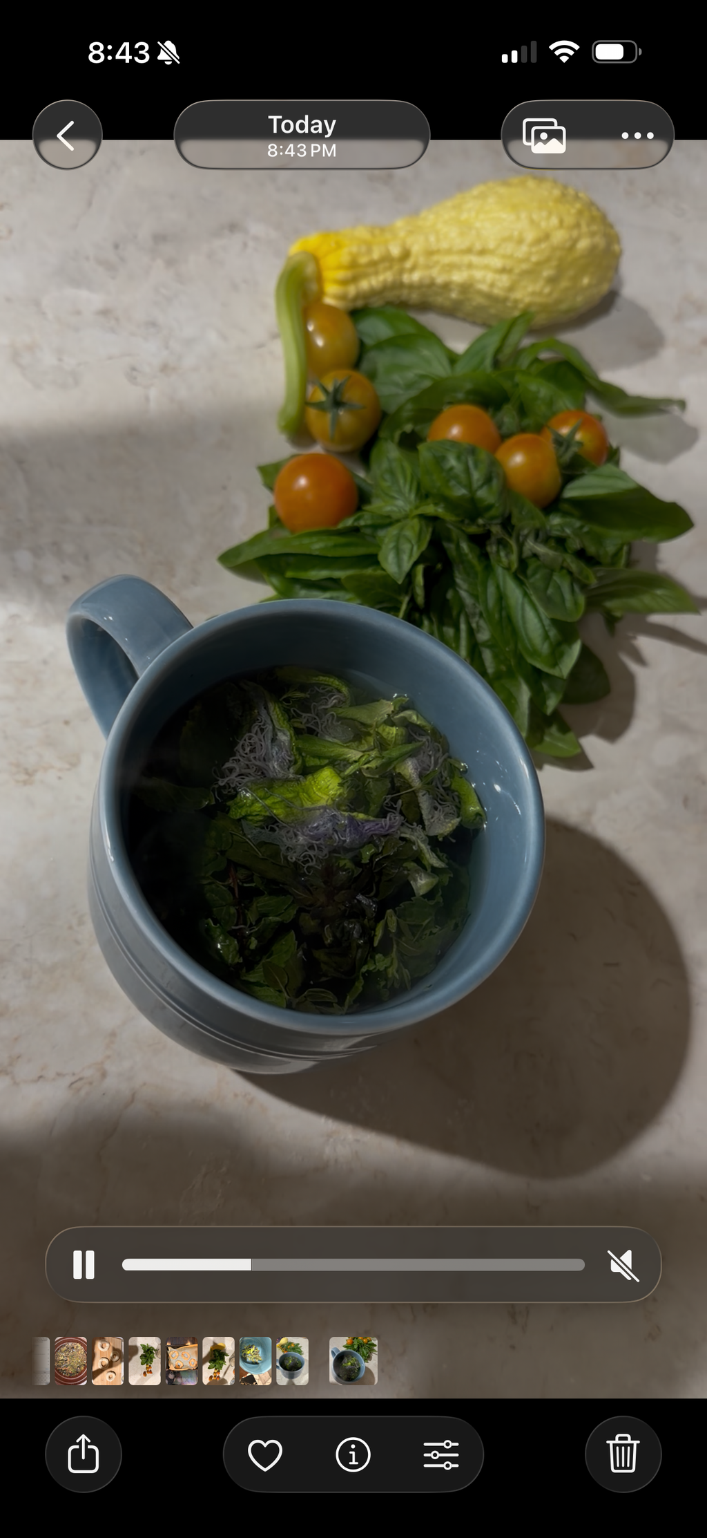 Moonlight Garden Tea™ 🍄🌙