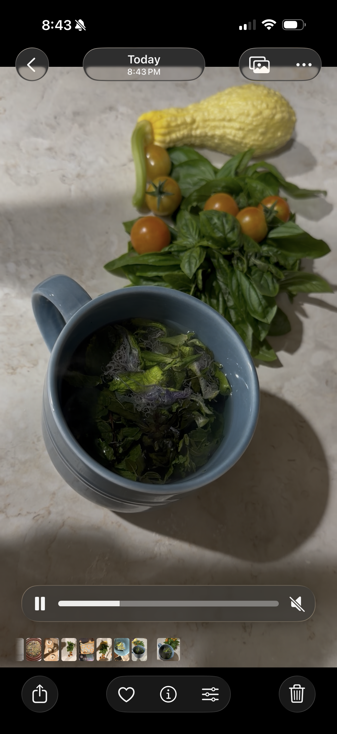 Moonlight Garden Tea™ 🍄🌙